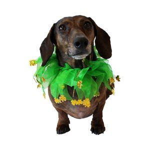 Midlee St Patrick's Shamrock Decorative Dog Collar